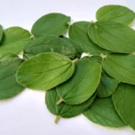 Kahasiat daun Bidara
