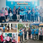 pln (1)