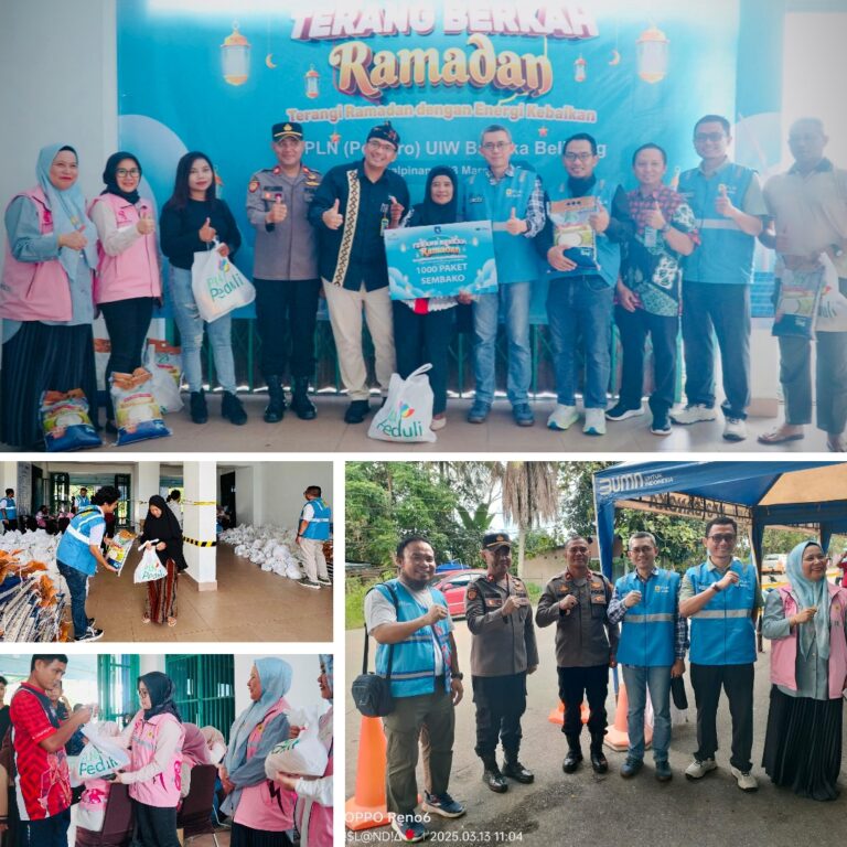 pln (1)