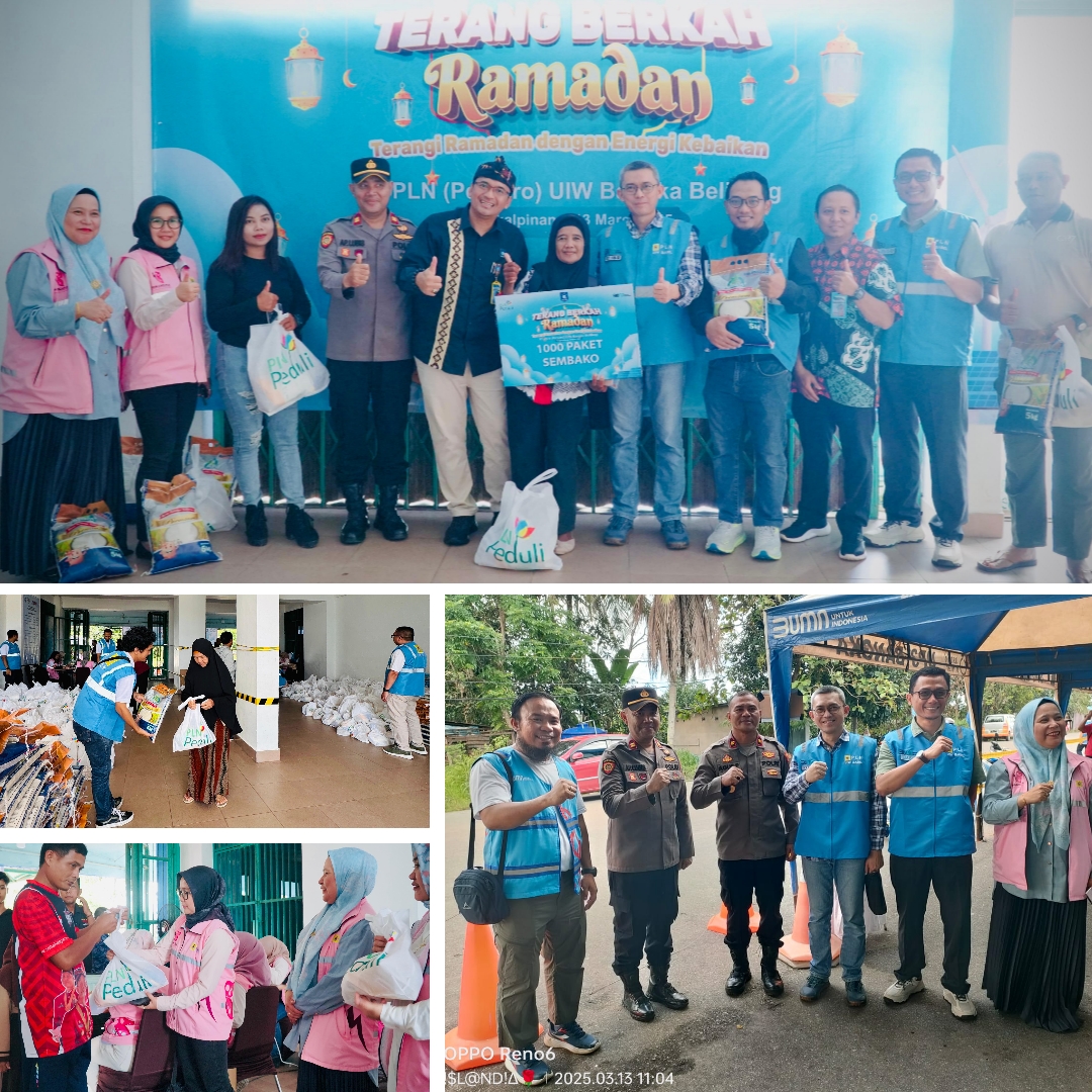 pln (1)