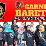 Garnita dpc